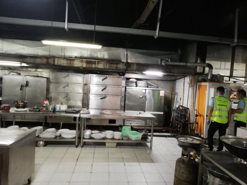 食品加工使用黄瓜视频免费在线