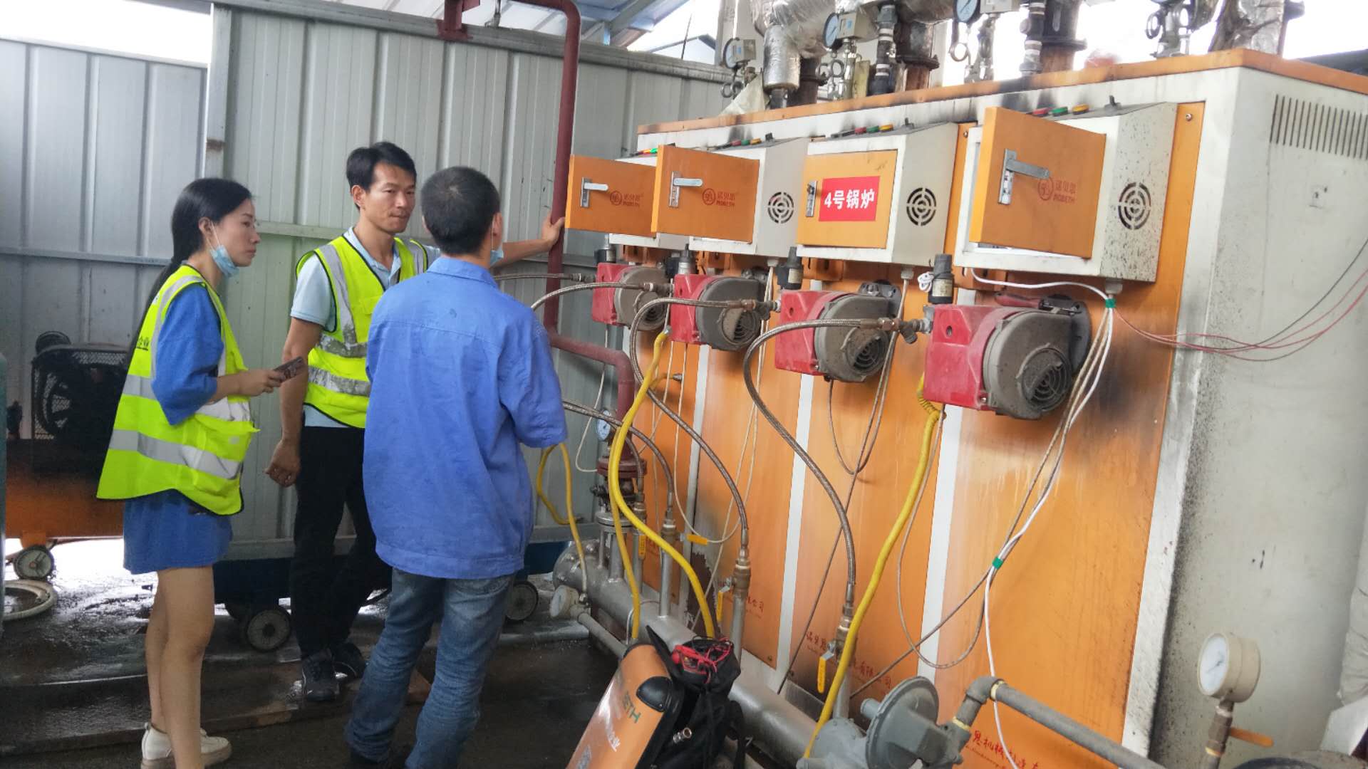 包子加工使用黄瓜视频免费在线蒸汽更足更环保 包子加工使用黄瓜视频免费在线蒸汽更足更环保