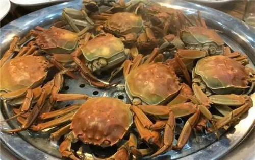 洁净蒸汽发生器蒸螃蟹 洁净蒸汽发生器蒸螃蟹