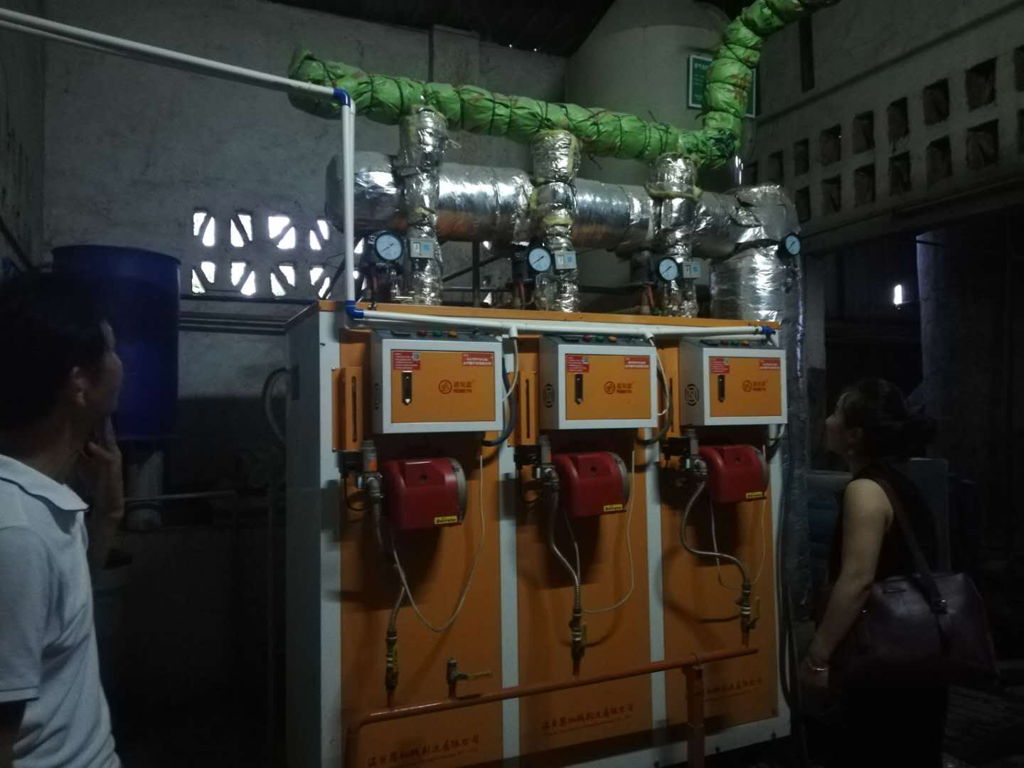 四川饲料烘干加工全自动蒸汽发生器 四川饲料烘干加工全自动蒸汽发生器