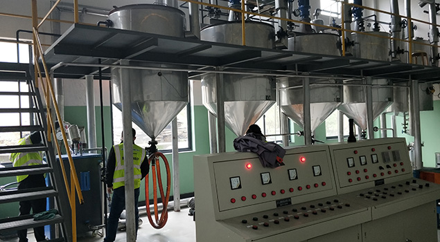 压榨茶籽提炼山茶油 压榨茶籽提炼山茶油