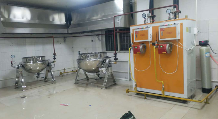 制药专用蒸汽发生器来宾中医院使用案例 制药专用蒸汽发生器来宾中医院使用案例